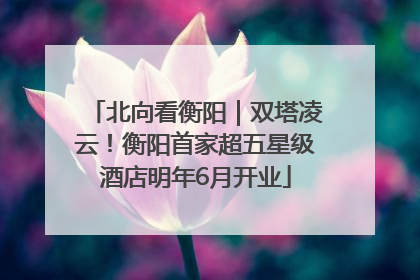 北向看衡阳｜双塔凌云！衡阳首家超五星级酒店明年6月开业