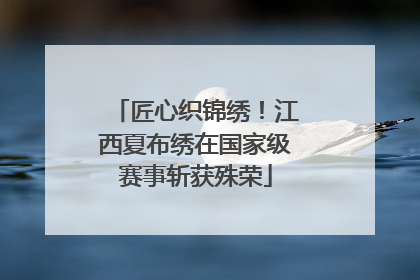 匠心织锦绣！江西夏布绣在国家级赛事斩获殊荣