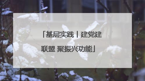 基层实践丨建党建联盟 聚振兴功能