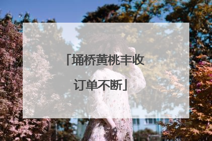 埇桥黄桃丰收 订单不断