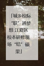 城乡校际“联”通梦想 江夏区校本研修现场“结”硕果