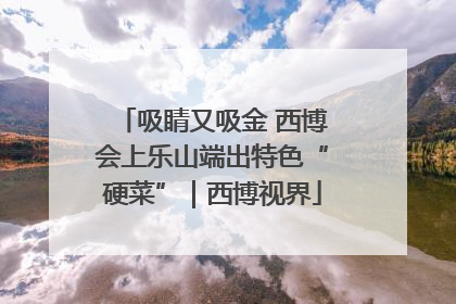 吸睛又吸金 西博会上乐山端出特色“硬菜”｜西博视界