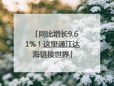 同比增长9.61%！这里通江达海链接世界
