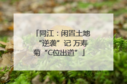 同江：闲置土地“逆袭”记 万寿菊“C位出道”