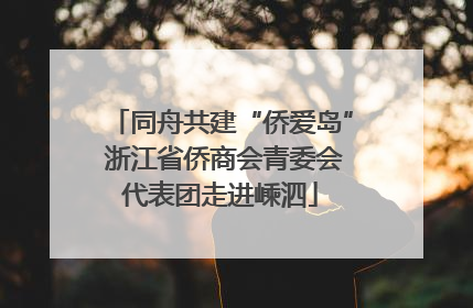 同舟共建“侨爱岛” 浙江省侨商会青委会代表团走进嵊泗