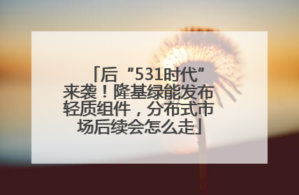 后“531时代”来袭！隆基绿能发布轻质组件，分布式市场后续会怎么走
