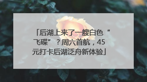 后湖上来了一艘白色“飞碟”？周六首航，45元打卡后湖泛舟新体验