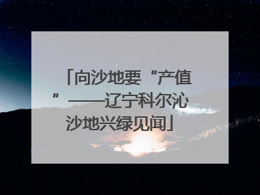 向沙地要“产值”——辽宁科尔沁沙地兴绿见闻