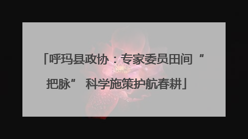 呼玛县政协：专家委员田间“把脉” 科学施策护航春耕