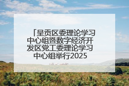 呈贡区委理论学习中心组暨数字经济开发区党工委理论学习中心组举行2025年第七次学习会议