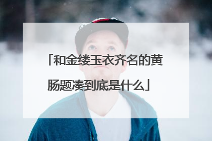 和金缕玉衣齐名的黄肠题凑到底是什么
