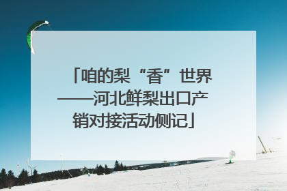 咱的梨“香”世界——河北鲜梨出口产销对接活动侧记