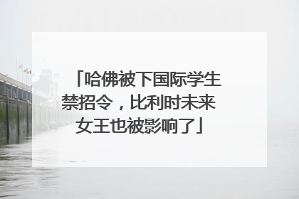 哈佛被下国际学生禁招令，比利时未来女王也被影响了