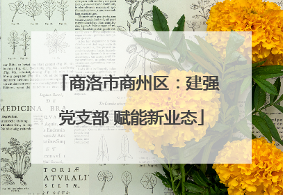 商洛市商州区：建强党支部 赋能新业态