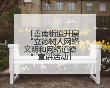 善南街道开展“立德树人网络文明和网络道德”宣讲活动