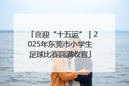 喜迎“十五运”｜2025年东莞市小学生足球比赛圆满收官