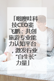 嗯噢哇科技CEO窦飞鹏：共创旅游专业能力认知平台，激发行业“自生长”力量
