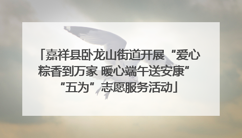 嘉祥县卧龙山街道开展“爱心粽香到万家 暖心端午送安康” “五为”志愿服务活动