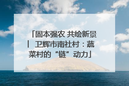 固本强农 共绘新景 ︳卫辉市南社村：蔬菜村的“链”动力