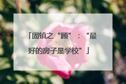 固镇之“顾”：“最好的房子是学校”