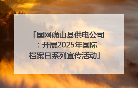 国网确山县供电公司：开展2025年国际档案日系列宣传活动