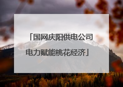 国网庆阳供电公司电力赋能桃花经济