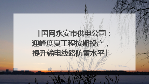 国网永安市供电公司：迎峰度夏工程按期投产，提升输电线路防雷水平