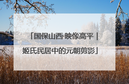 国保山西·映像高平｜姬氏民居中的元朝剪影