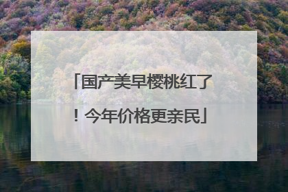 国产美早樱桃红了！今年价格更亲民