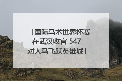 国际马术世界杯赛在武汉收官 547对人马飞跃英雄城