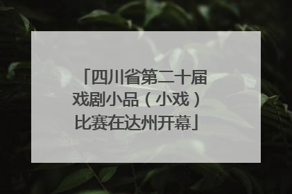 四川省第二十届戏剧小品（小戏）比赛在达州开幕