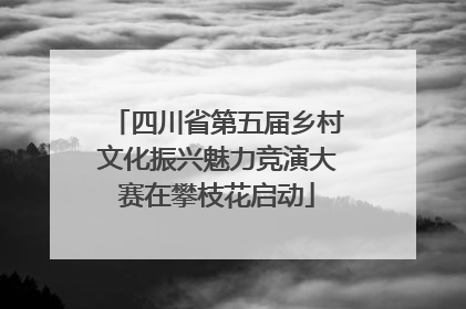四川省第五届乡村文化振兴魅力竞演大赛在攀枝花启动