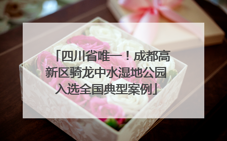 四川省唯一！成都高新区骑龙中水湿地公园入选全国典型案例