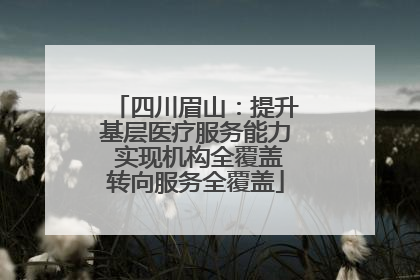 四川眉山：提升基层医疗服务能力 实现机构全覆盖转向服务全覆盖
