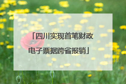 四川实现首笔财政电子票据跨省报销