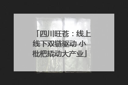 四川旺苍：线上线下双链驱动 小枇杷撬动大产业