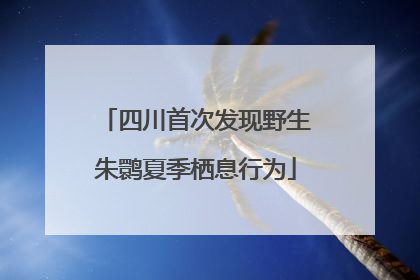 四川首次发现野生朱鹮夏季栖息行为