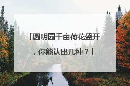 圆明园千亩荷花盛开，你能认出几种？