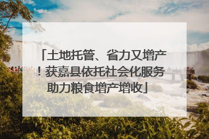 土地托管、省力又增产！获嘉县依托社会化服务助力粮食增产增收