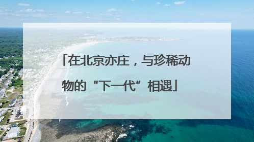 在北京亦庄，与珍稀动物的“下一代”相遇