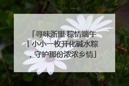 寻味浙里·粽情端午丨小小一枚开化碱水粽，守护那份浓浓乡情