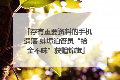 存有重要资料的手机遗落 蚌埠泊管员“拾金不昧”获赠锦旗