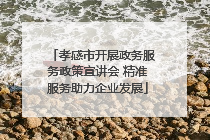 孝感市开展政务服务政策宣讲会 精准服务助力企业发展