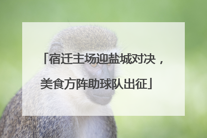 宿迁主场迎盐城对决，美食方阵助球队出征