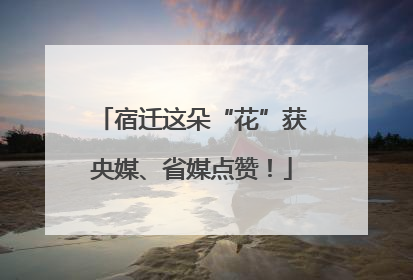 宿迁这朵“花”获央媒、省媒点赞！