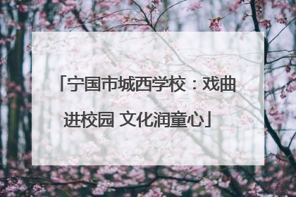 宁国市城西学校：戏曲进校园 文化润童心