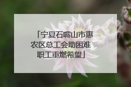 宁夏石嘴山市惠农区总工会助困难职工重燃希望