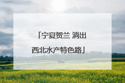 宁夏贺兰 淌出西北水产特色路