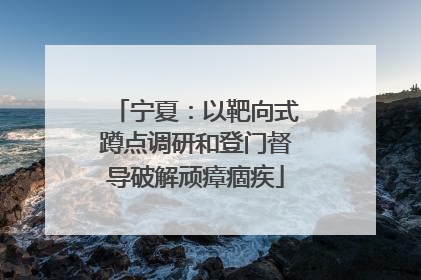 宁夏：以靶向式蹲点调研和登门督导破解顽瘴痼疾
