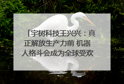 宇树科技王兴兴：真正解放生产力前 机器人格斗会成为全球受欢迎的赛事｜科技观察